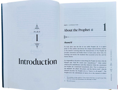 The Sirah of the Prophet (Pbuh): A Contemporary and Original Analysis - by Yasir Qadhi (25203)