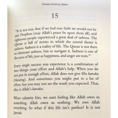 Timeless Seeds of Advice - B. B. Abdullah-8